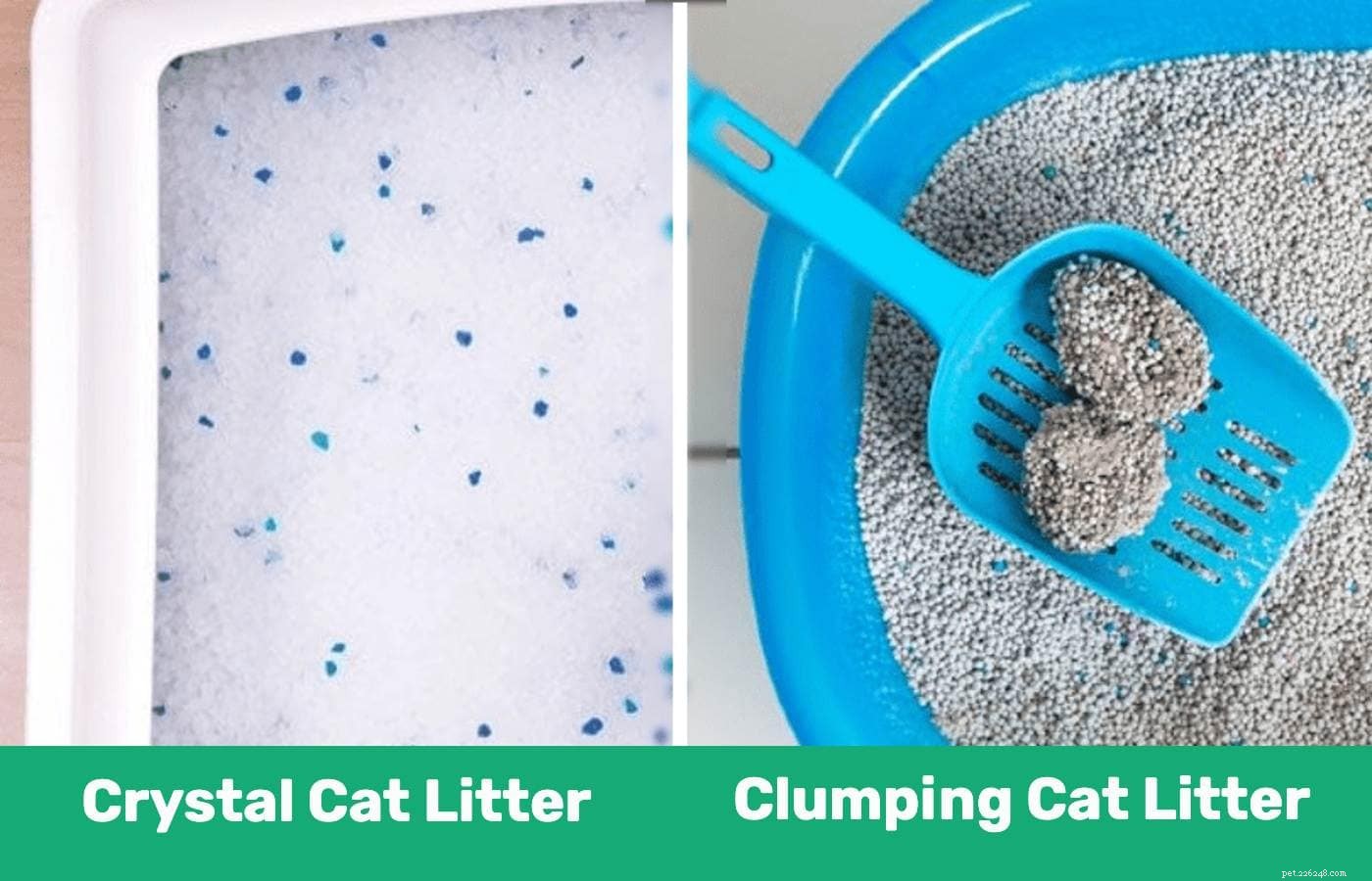 Crystal Litter vs Clumping Cat Litter:wat is het beste voor mijn kat?