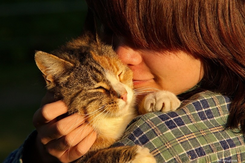 Waarom rollen katten rond in kattenbakken (en hoe stop je het)