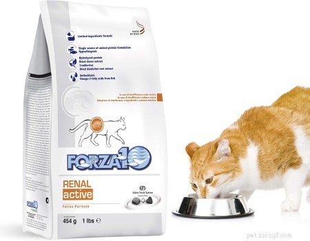 10 nejlepších krmiv pro kočky pro onemocnění ledvin (nízký obsah fosforu) v roce 2022
