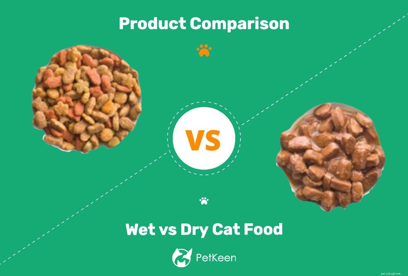 Nat versus droog kattenvoer:is het ene beter dan het andere? (Voor- en nadelen)