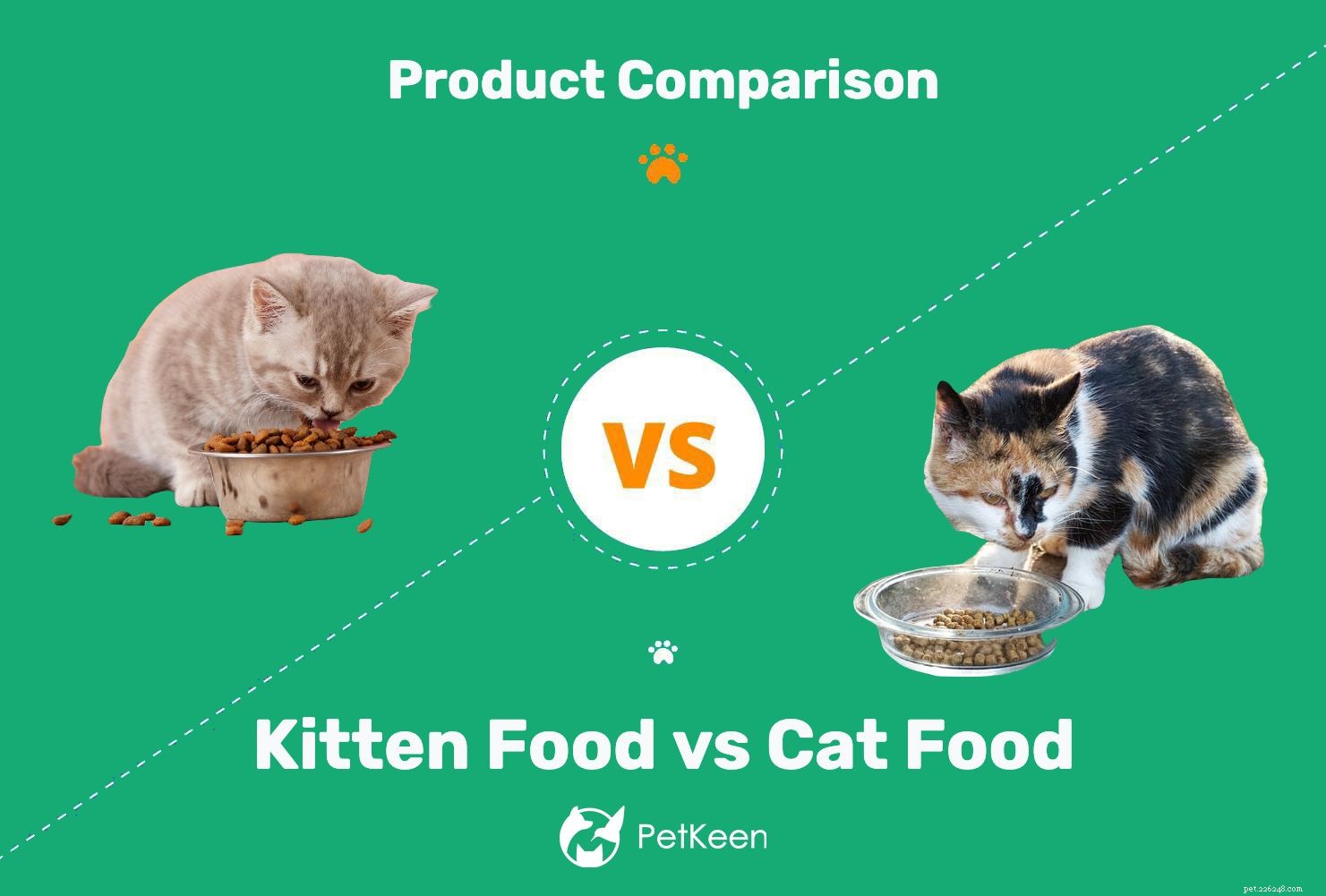 Kattungemat vs kattmat:Finns det någon skillnad? (Fördelar nackdelar) 