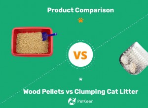 木質ペレットと猫のトイレの塊：私の猫に最適なものは何ですか？ 