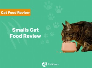 Smalls Cat Food Review 2022:Fördelar, nackdelar och omdöme