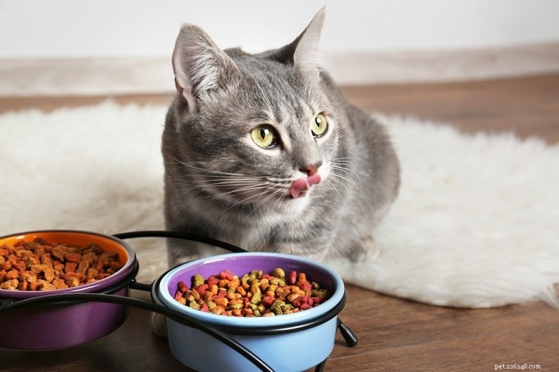 Come scegliere il cibo per gatti giusto:nutrizione, etichette e altro!