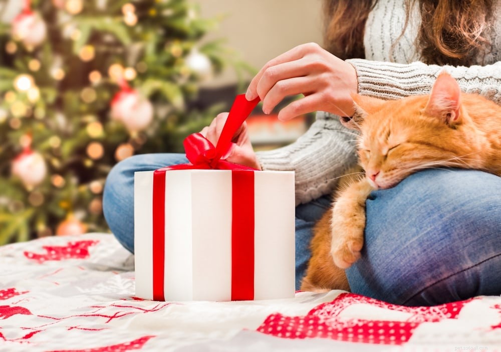 De 51 beste cadeaus voor kattenliefhebbers in 2022 (snorrende ideeën voor inspiratie!)