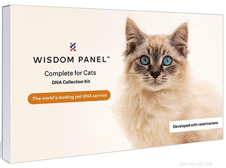 2022年の猫愛好家のための51のベストギフト（インスピレーションを得るための完璧なアイデア！） 