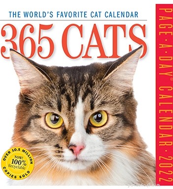 Les 51 meilleurs cadeaux pour les amoureux des chats en 2022 (idées ronronnantes pour l inspiration !)