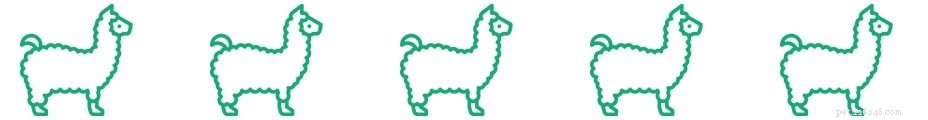 À quoi ressemble un lama ? Comment les lamas communiquent-ils ?
