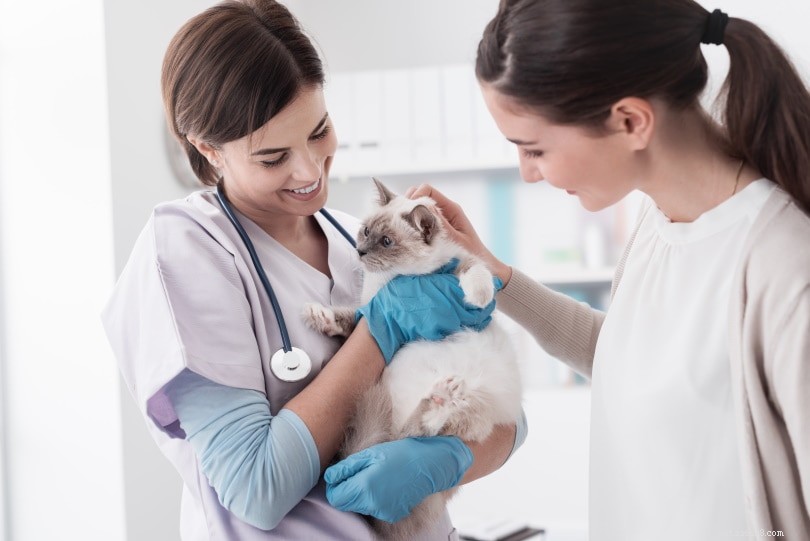 Combien coûtent les vaccins pour chats chez PetSmart ?