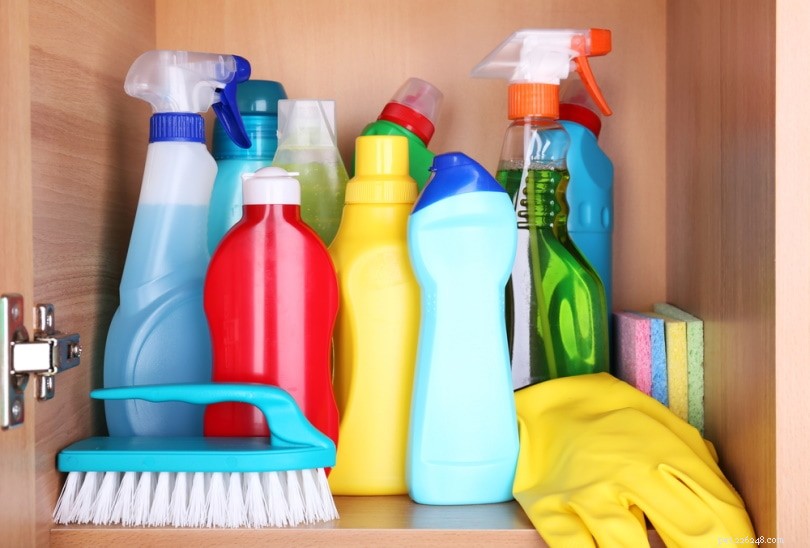 Comment éliminer l odeur et les taches d urine de chat sur les tapis ? Ce que vous devez savoir !