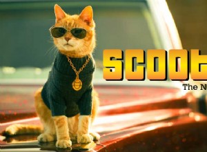 Vidéo :Scooter le chat castré