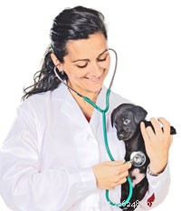 Často kladené otázky týkající se výběru a návštěvy vašeho veterináře