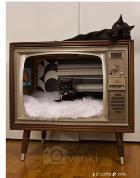 Cuccia per gatti TV vintage fai-da-te