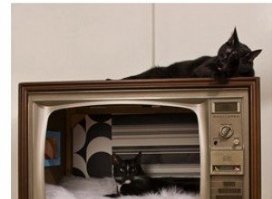 Cuccia per gatti TV vintage fai-da-te