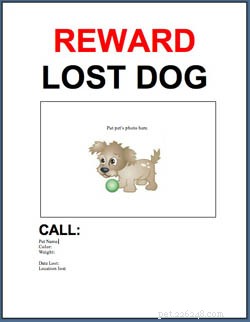 Gratis sjabloon:Flyer voor verloren of gevonden huisdieren