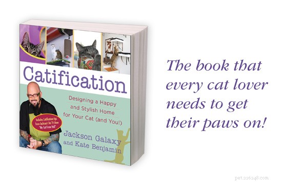Recenze knihy:Catification od Jacksona Galaxy a Kate Benjamin