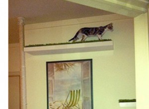 Palo per gatti in sisal fai-da-te dal pavimento al soffitto - Video!