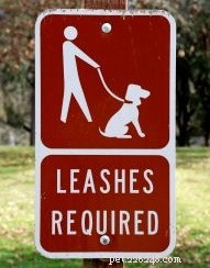 Leer uw hond of puppy aan de lijn te lopen