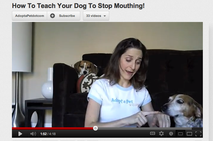 Gebruikt uw hond zijn mond te veel?