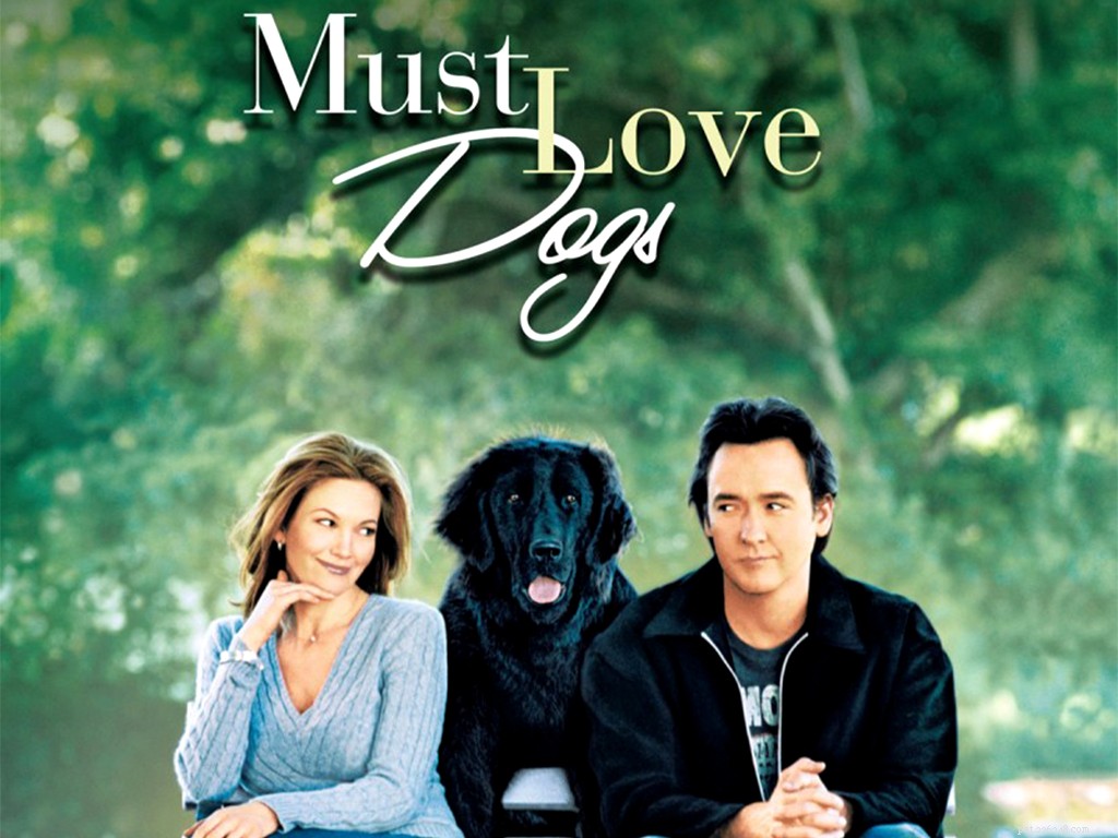 Must Love Dogs:로맨틱 코미디 영화
