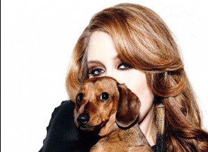 Adele e seu amor por cães:Louie e Atilla