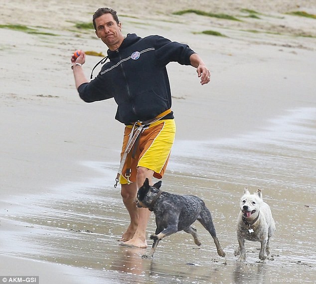 Matthew McConaughey, un soccorritore di animali