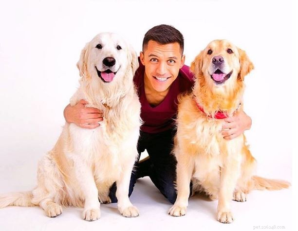 Alexis Sanchez e la sua passione per i suoi due cani