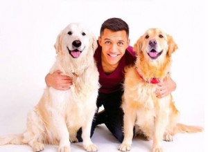 Alexis Sanchez e sua paixão por seus dois cães