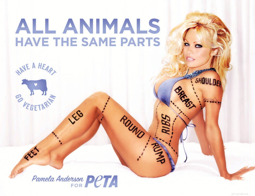 Pamela Anderson, en passionerad djurrättsaktivist