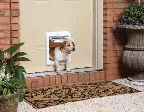 Дверка для собак:руководство по выбору лучшей собачьей двери для вашего питомца