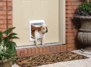 Porta de cachorro:guia para obter a melhor porta de cachorro para seu animal de estimação