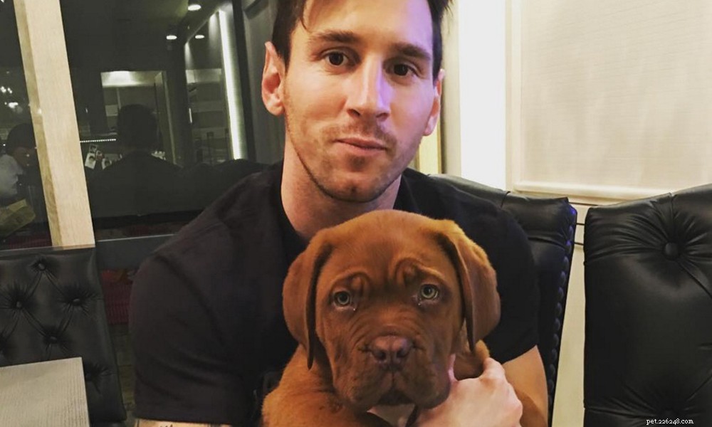 Lionel Messi et ses énormes chiens magnifiques
