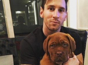 Lionel Messi e seus lindos cães enormes