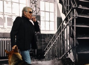 Roberto Cavalli e sua linha exclusiva para cães