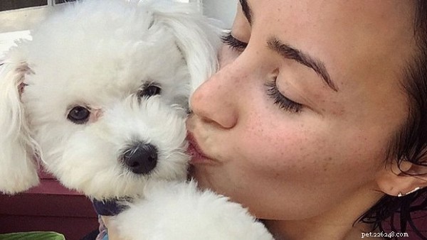 Demi Lovato och hennes härliga gosiga hundar
