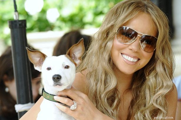 Mariah Carey는 강아지를 정말 사랑합니다