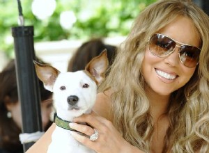 Mariah Carey realmente ama seus cães