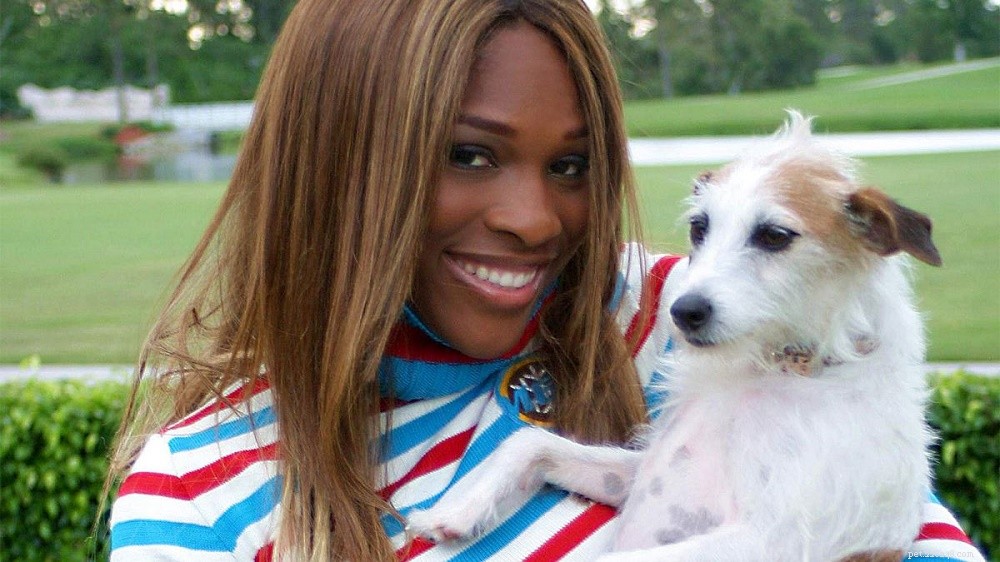 Serena Williams och hennes bakgrund med hundar