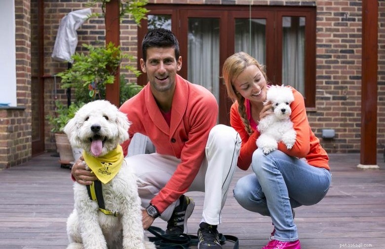 Novak Djokovic e il suo barboncino sono inseparabili