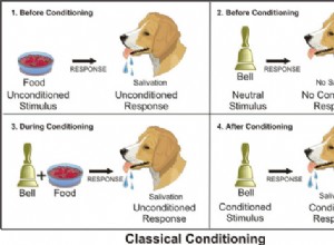 Cão Pavlov e Condicionamento Clássico:Quem foi o Cão Pavlov?