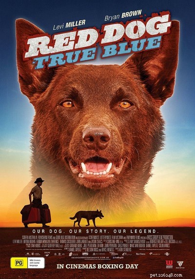 Red Dog:вдохновляющая история, основанная на реальных событиях