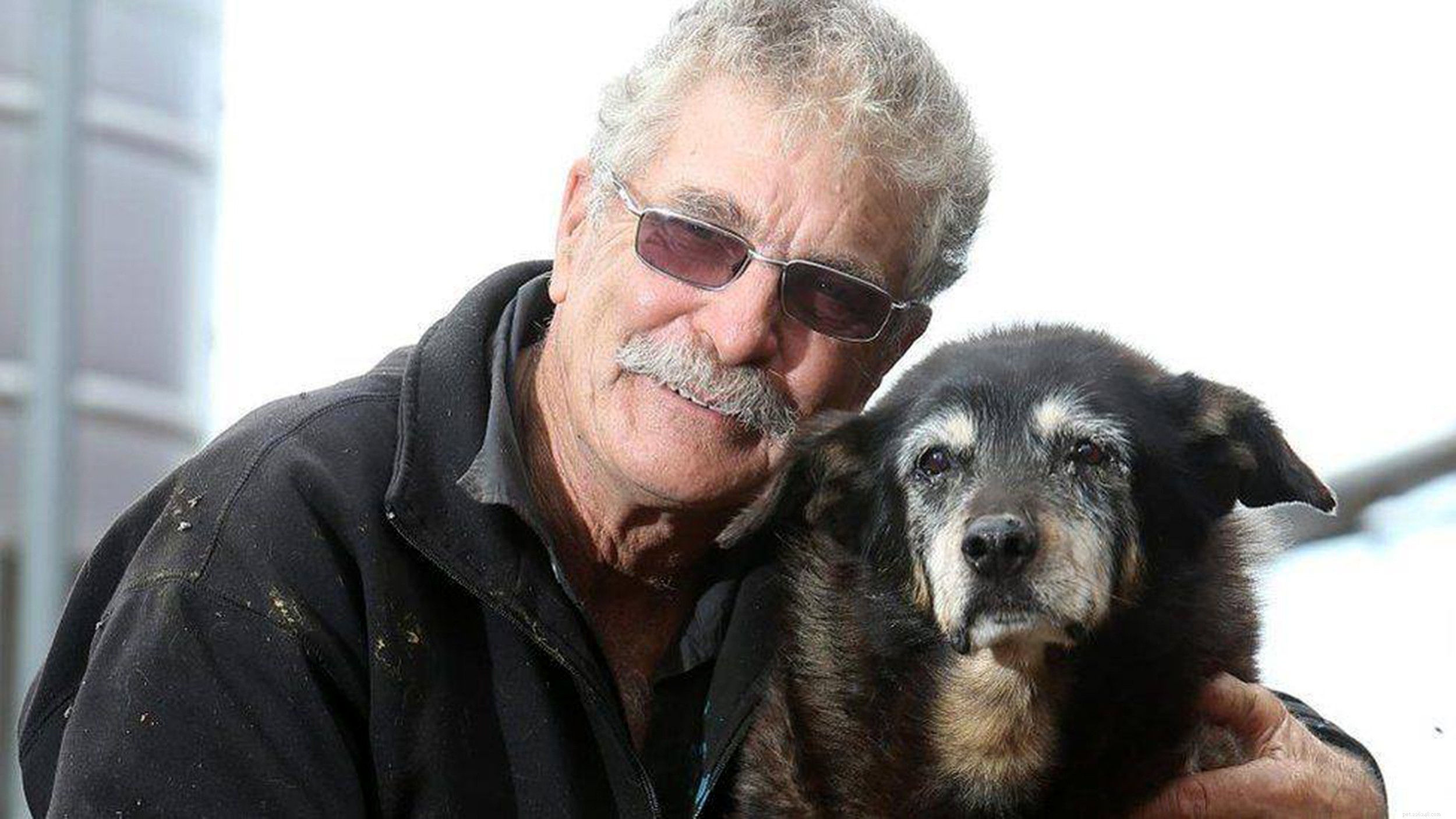 O cachorro mais velho do mundo:vamos lembrar de Maggie