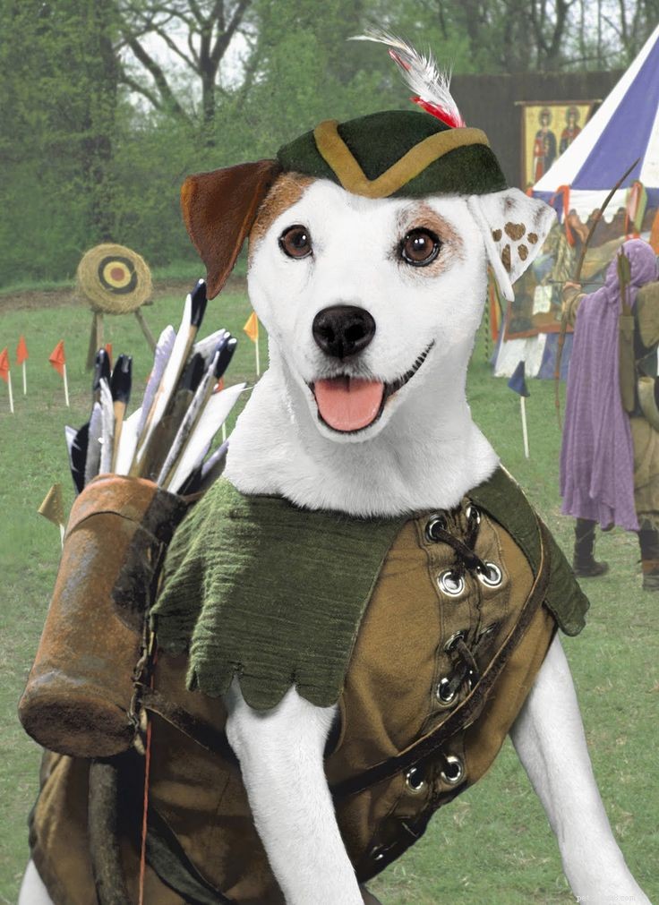 O cão Wishbone:“o cachorrinho com uma grande imaginação”