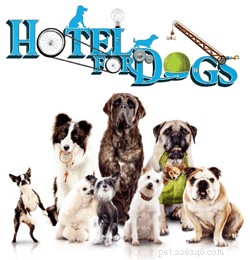 Hotel for Dogs：家族と一緒に見る映画
