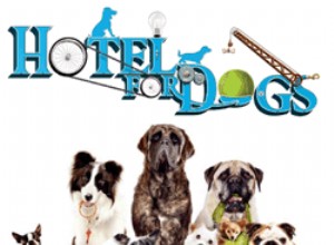 Hotel para cães:um filme para assistir com a família