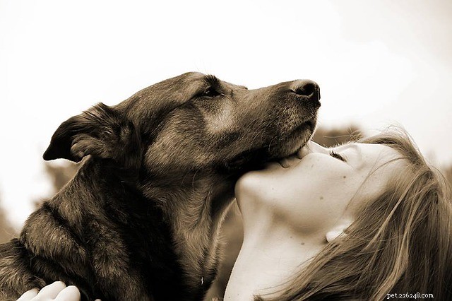 Hund älskar dig:fortfarande i tvivel? Kolla in dessa tecken