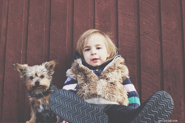 Собаки и дети на свежем воздухе — хорошее сочетание