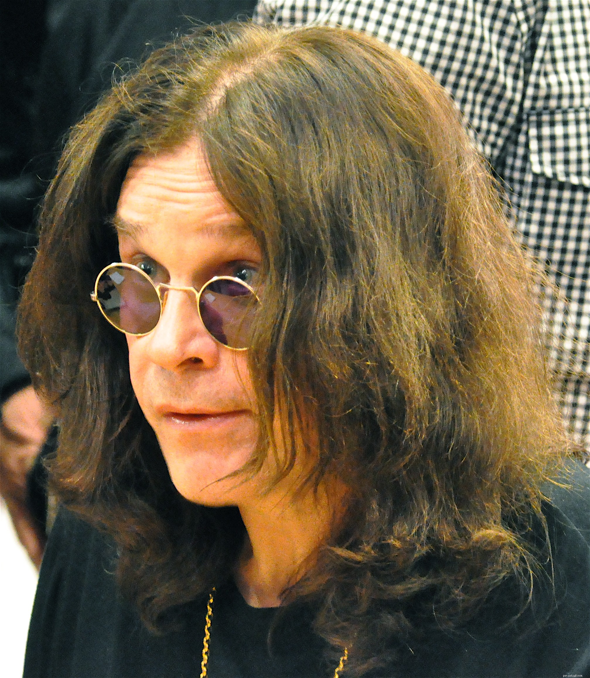 Dog Passion：Ozzy Osbourne and his Dedication to Dogs