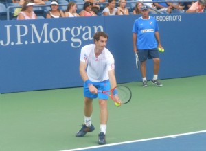 Os cães de Andy Murray:sente falta de seus cães quando ele está fora