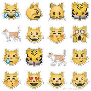 Een schattige katten-emoji kan je dag opfleuren